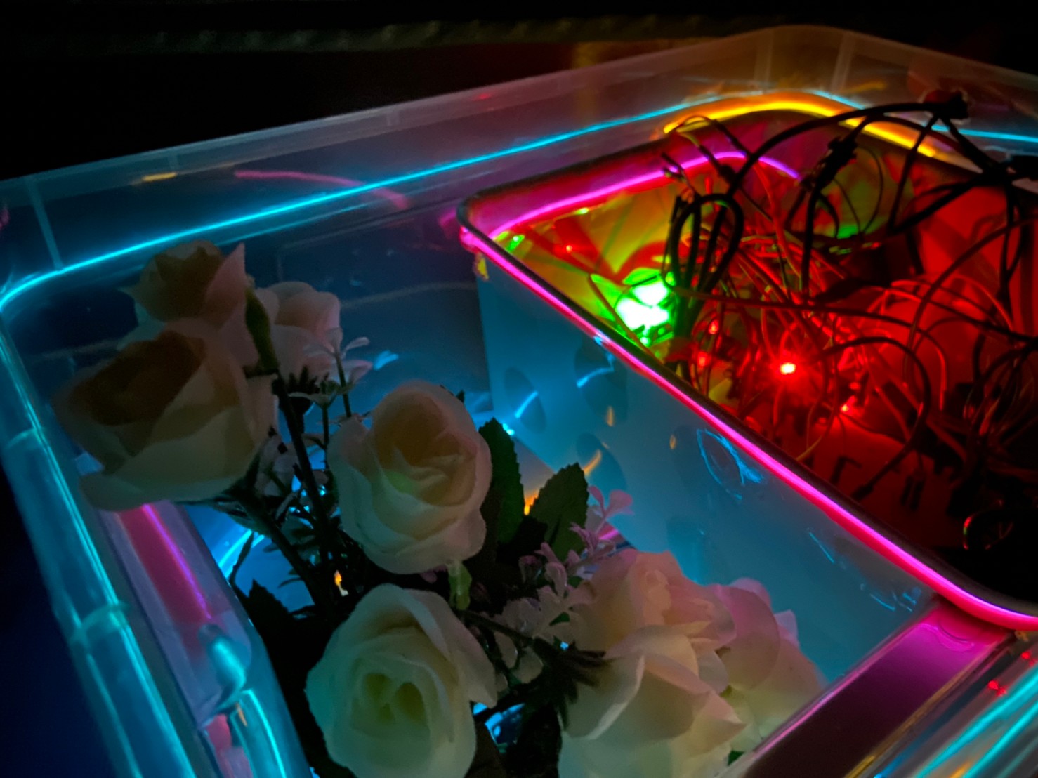 Greenhouse2077.jpg